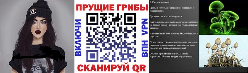 хочу Иннополис гидра ТОР Галлюциногенные грибы мицелий